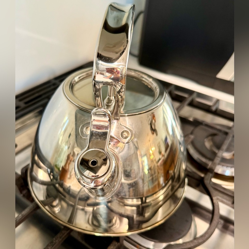 All Clad Polished Silver Kettle